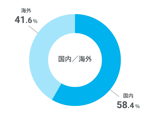 国内／海外