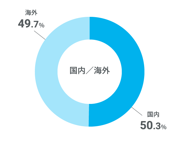 国内／海外