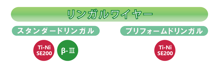 リンガルタイプ