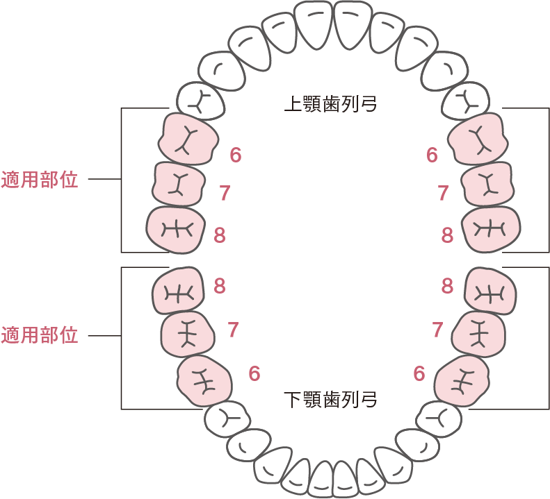 適用部位