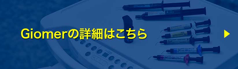 Giomerの詳細はこちら