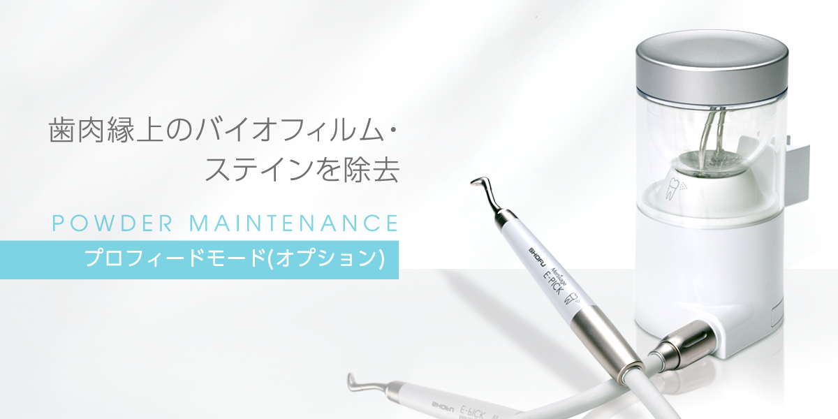 プロフィーモード（オプション）｜メルサージュ エピック 2in1 NEO