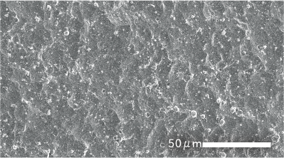 「DURAGRIP」コーティング