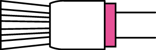 No.S1