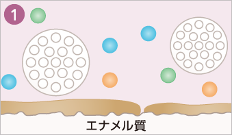 薬用成分（ポリエチレングリコール400、ポリビニルピロリドン）でステインを浮かせて溶解をうながす