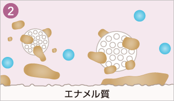 多孔質のケイソウ土が溶解されたステインをからめとる