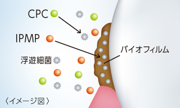 口腔内の浮遊細菌を殺菌します。