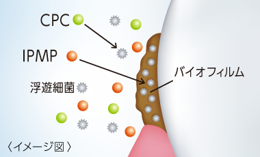 口腔内の浮遊細菌を殺菌します。