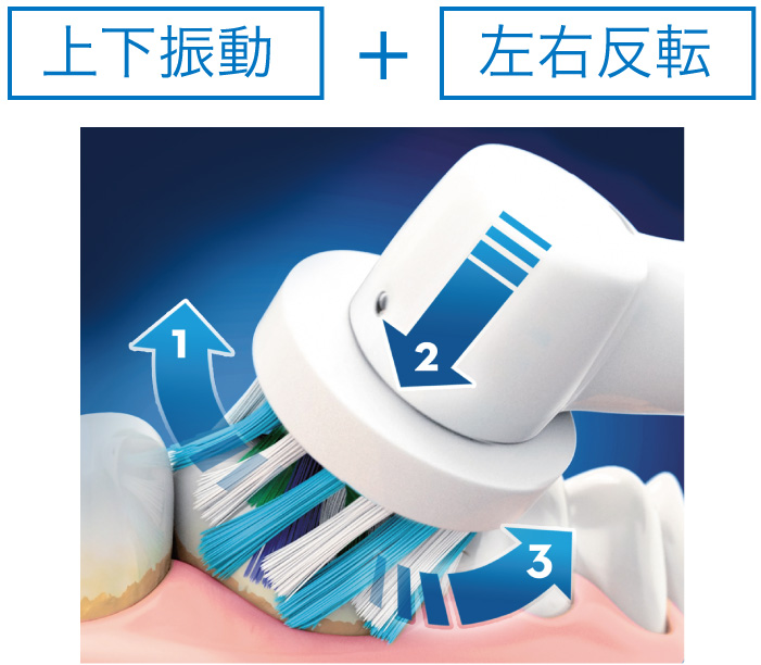 歯肉のキワ、歯間部へ毛先を届ける3Dアクション