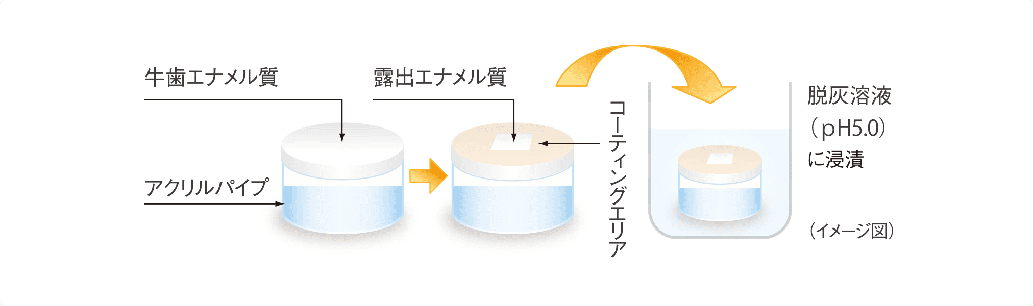 測定方法