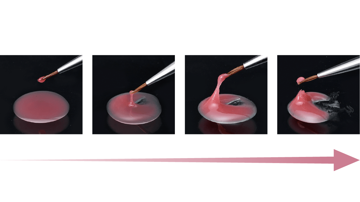 歯冠色とガム色