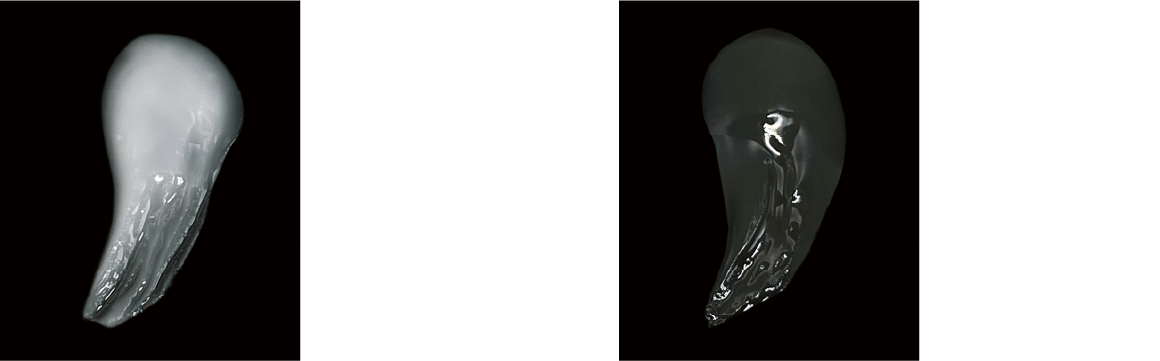 専用液での練和と山本リキッドでの練和