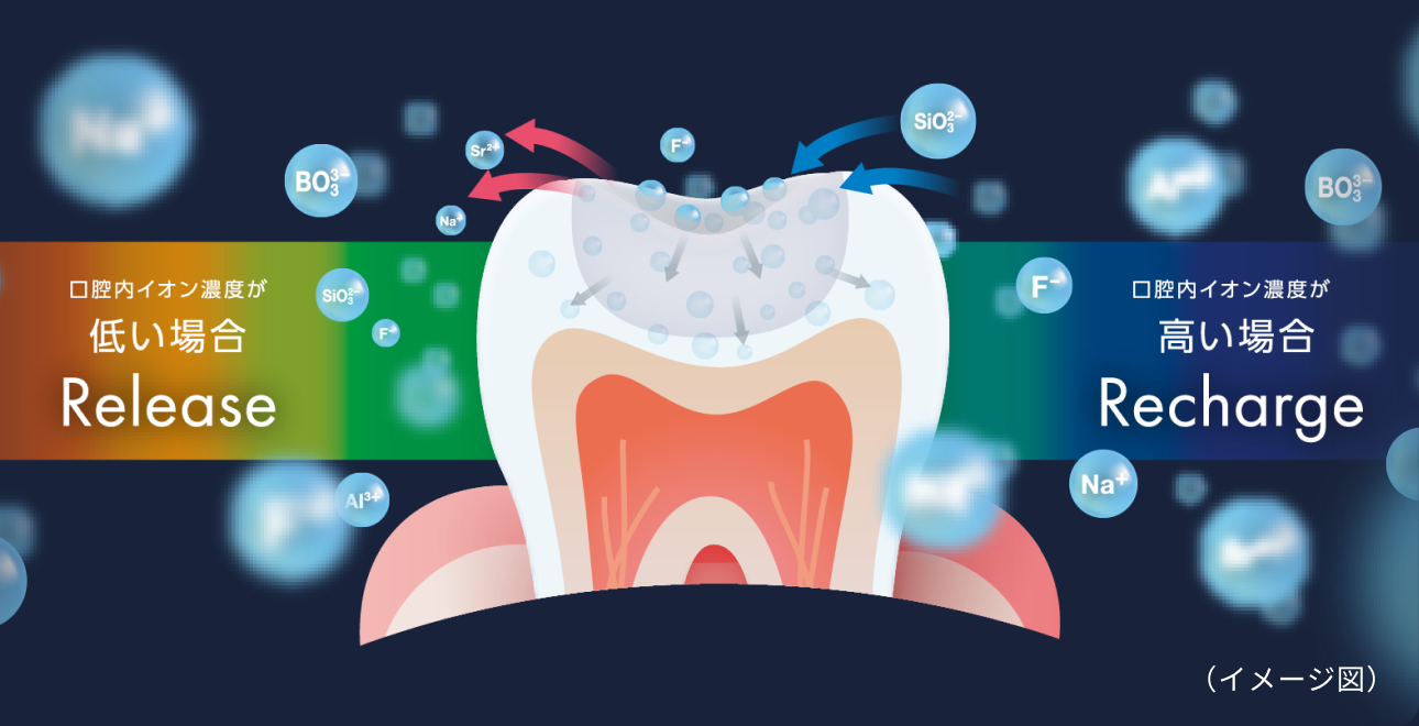 イメージ図　口腔内イオン濃度が低い場合 Release 口腔内イオン濃度が高い場合 Recharge