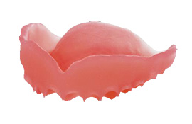 ディーマプリント デンチャー ベース