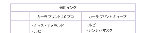 プリンタ別インク適用表