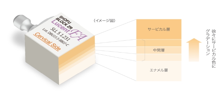 松風ブロックZR ルーセント FA色調イメージはこちら