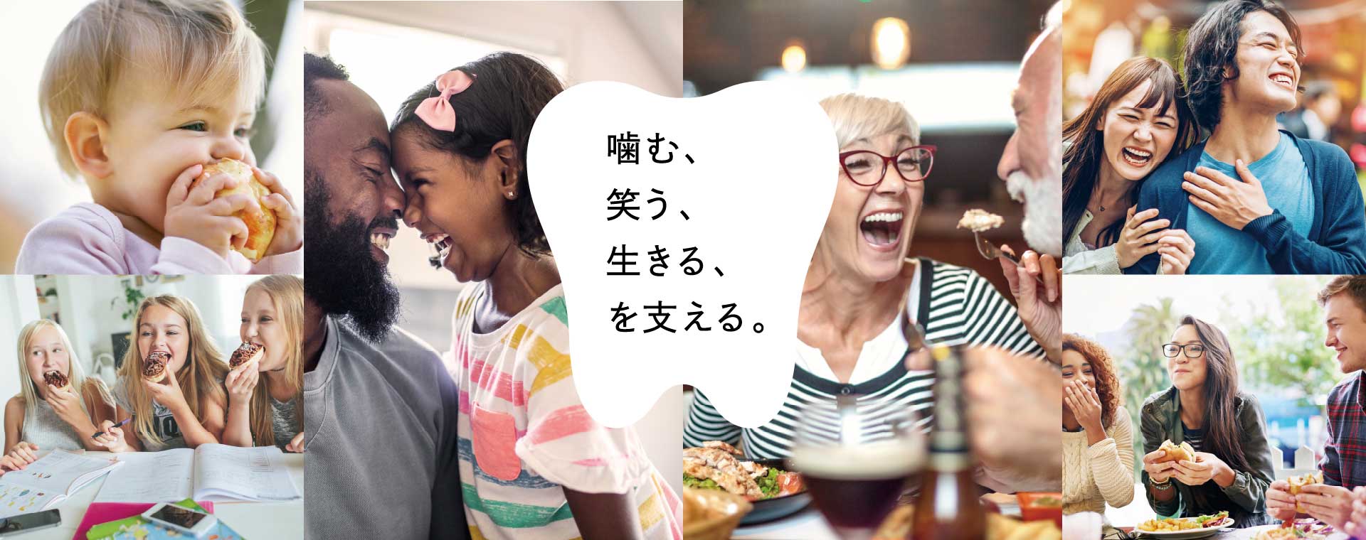株価 松風 松風（7979）の株主優待紹介